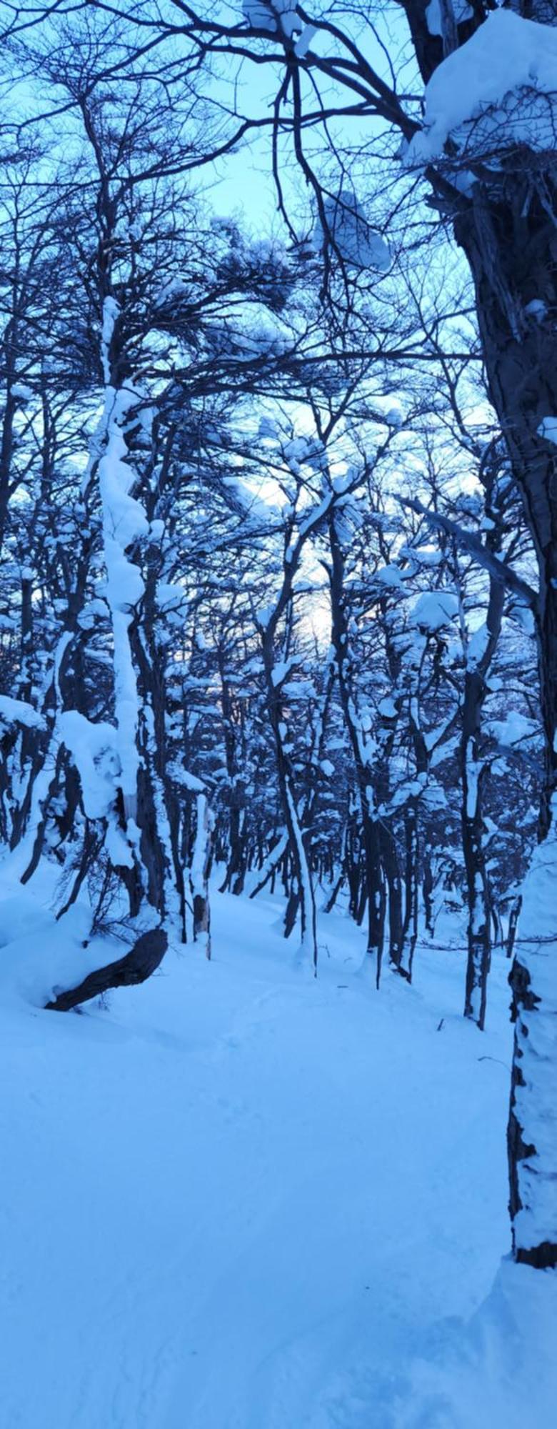 Valle Florido 1 Trevelín Zewnętrze zdjęcie